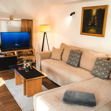 Apartment Leskovcanka